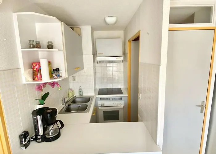 아파트 1 Chambre, 6 Personnes Dans Avec Piscines 르그로뒤후아